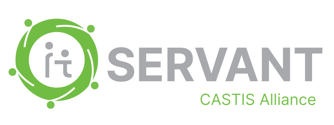 아이티서번트 IT SERVANT